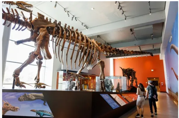 Test Mesum Exhibits